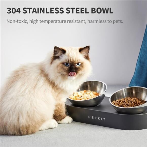 Raised Dog Cat Food Bowl 304 Stainless Steel, Elevated Pet Food and Water Bowl - Picture 2 of 7